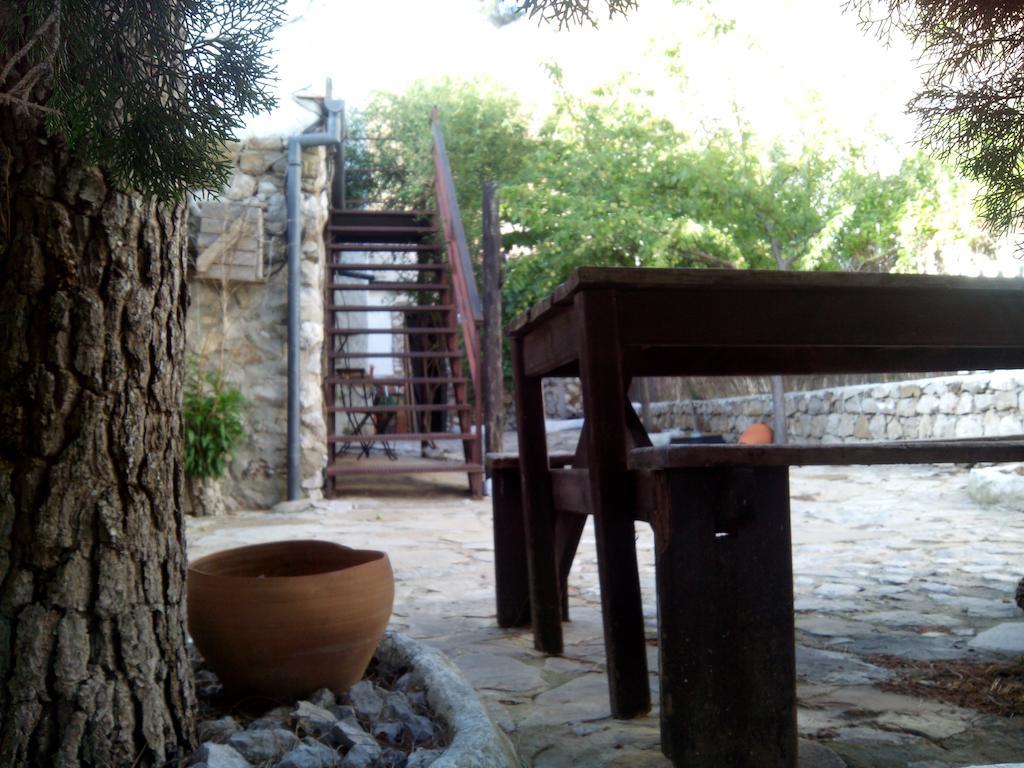 Posada El Parral Benaocaz Εξωτερικό φωτογραφία